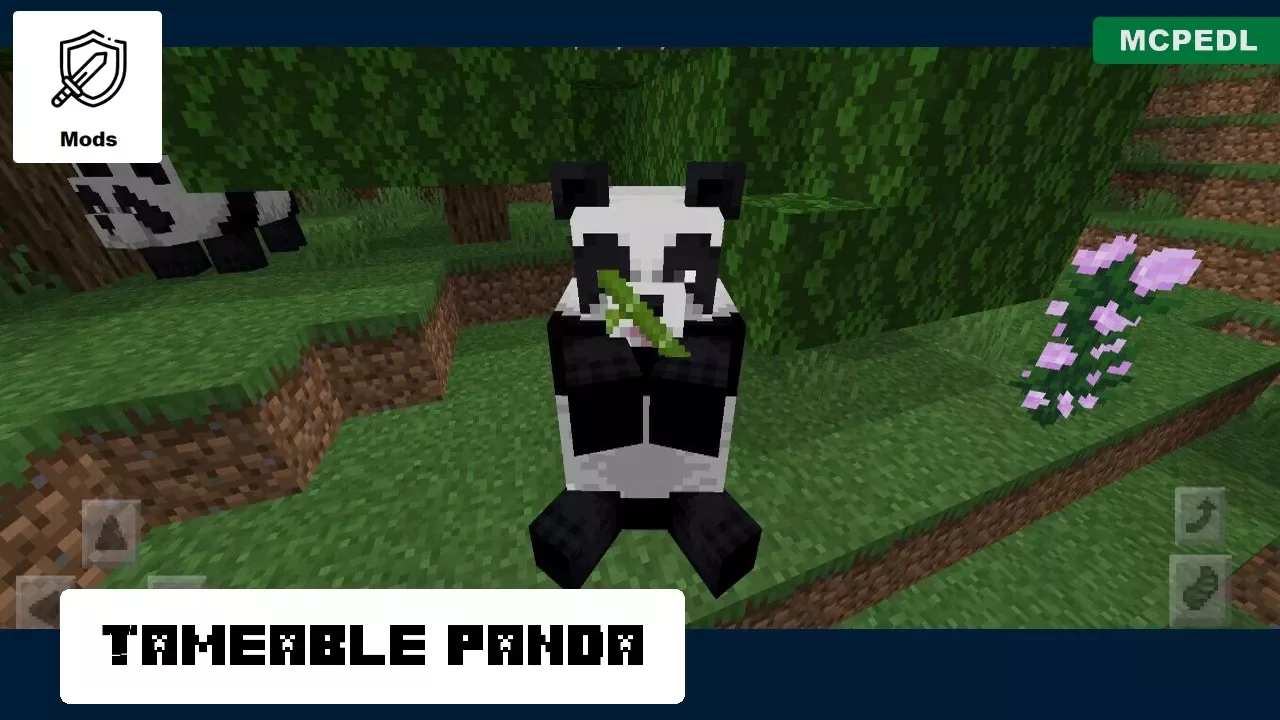 Tameable Panda from Panda Mod for Minecraft PE