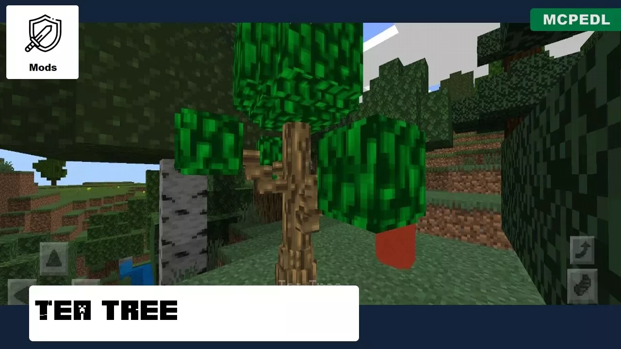 Tea Tree from Tea Mod for Minecraft PE