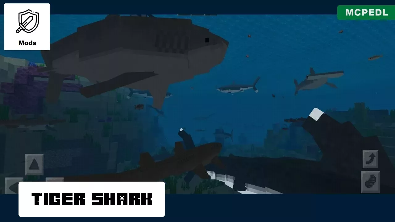 Tiger Shark from Shark Mod for Minecraft PE