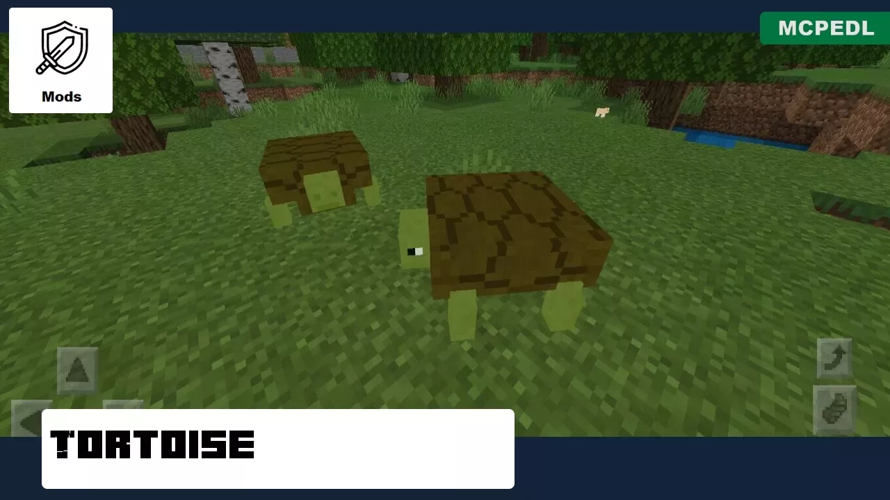 Tortoise from Zoo Mod for Minecraft PE