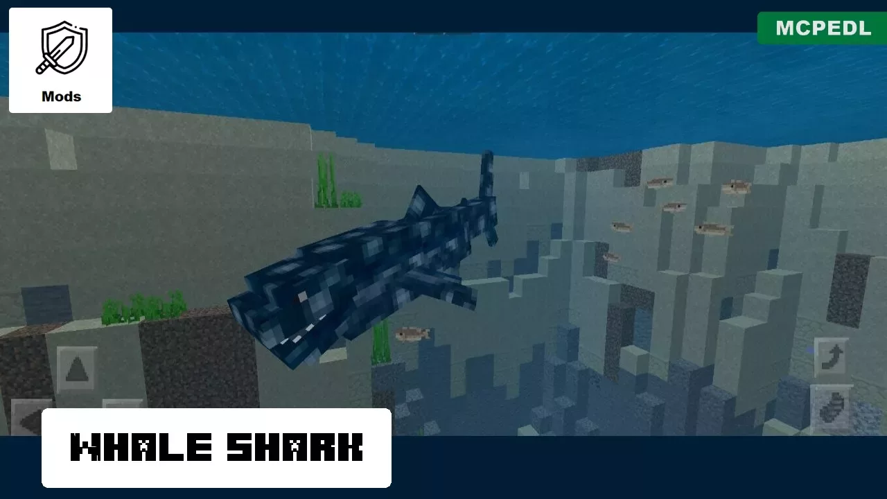 Whale Shark from Shark Mod for Minecraft PE