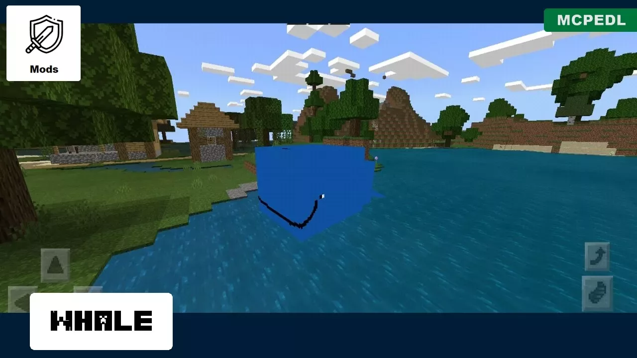 Whale from Whale Mod for Minecraft PE