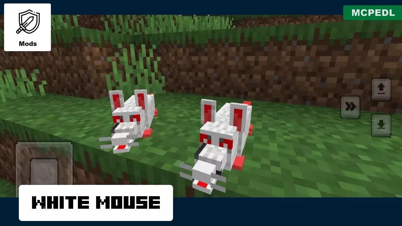 White Mouse from Mouse Mod for Minecraft PE