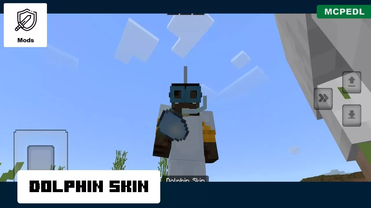Dolphin Skin from Costume Mod for Minecraft PE