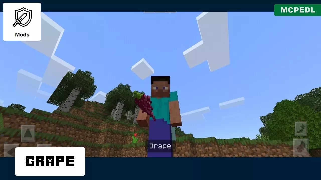Grape from Fruits Mod for Minecraft PE