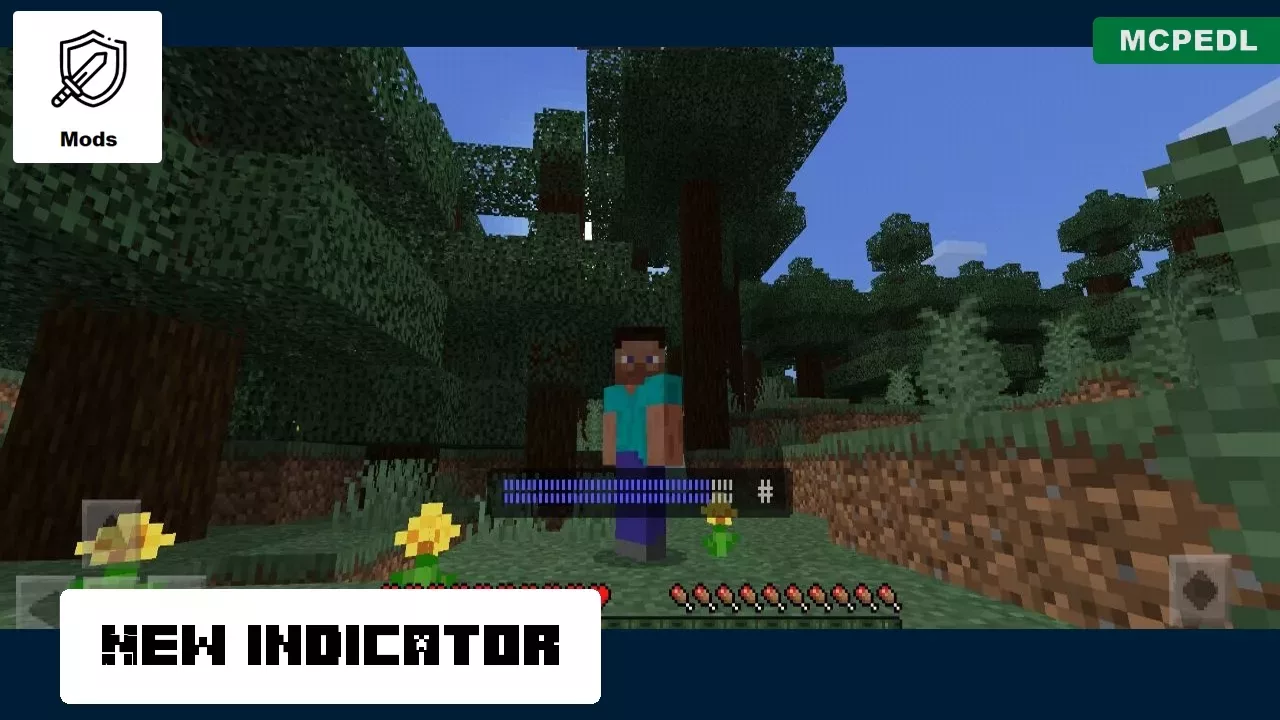 Indicator from Heat Mod for Minecraft PE