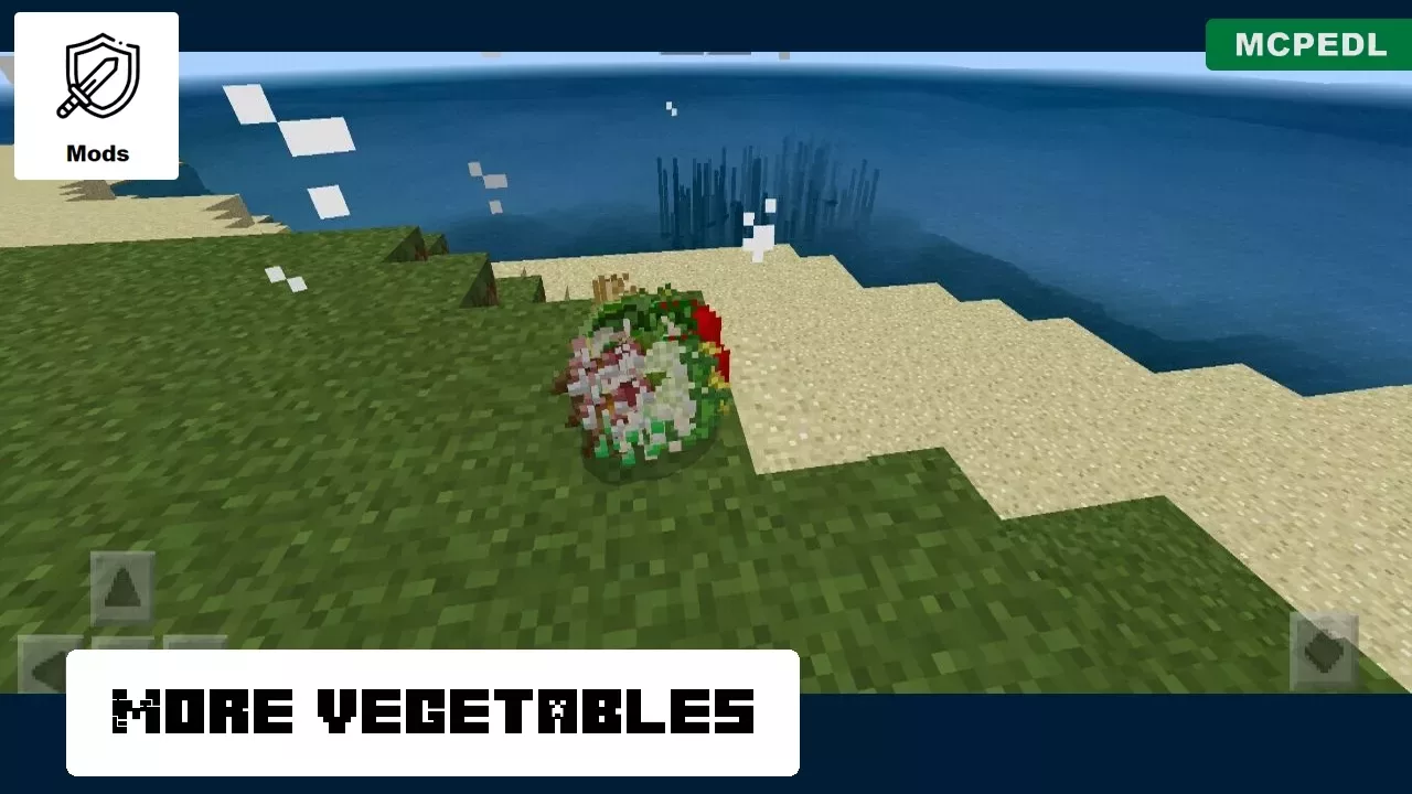 More Vegetables from Vegetable Mod for Minecraft PE