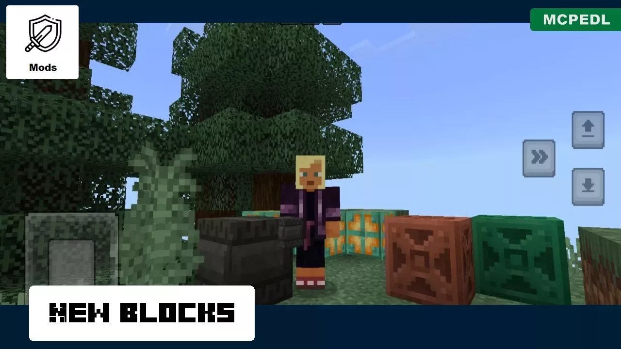 New Blocks from Concept 1.21 Update Mod for Minecraft PE