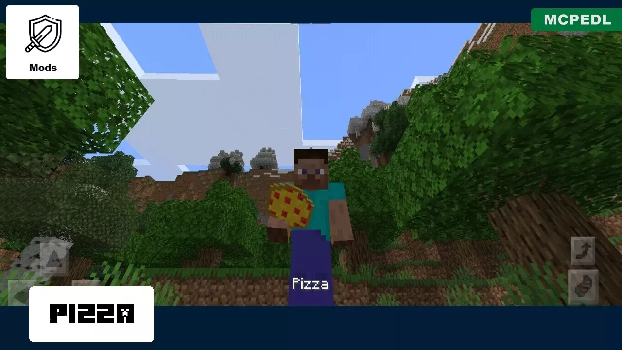 Pizza from Fast Food Mod for Minecraft PE