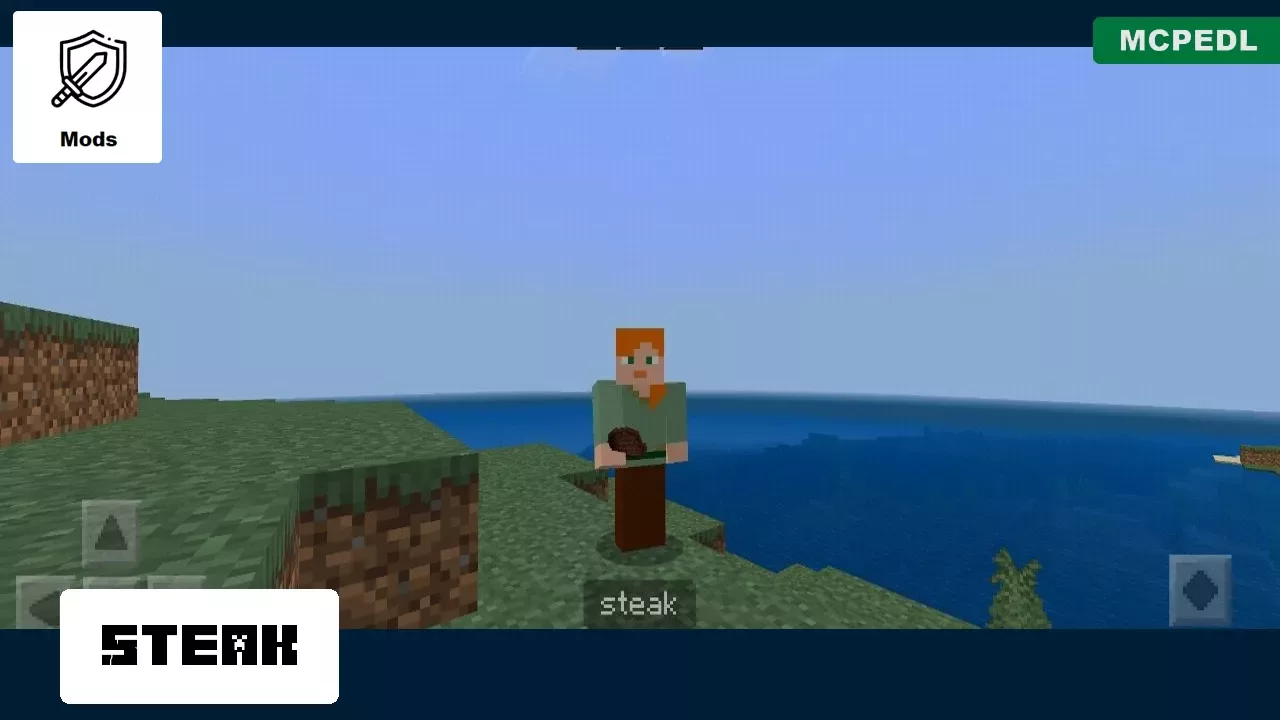 Steak from Troll Mod for Minecraft PE