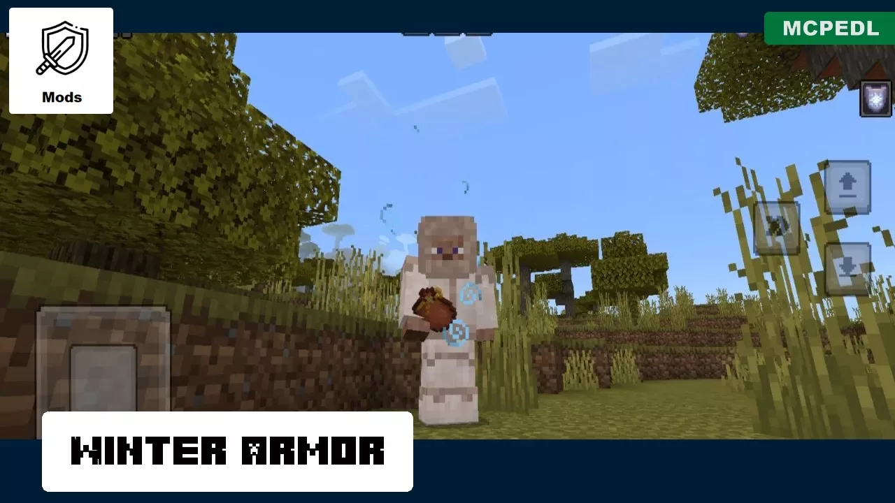 Winter Armor from Cold Mod for Minecraft PE