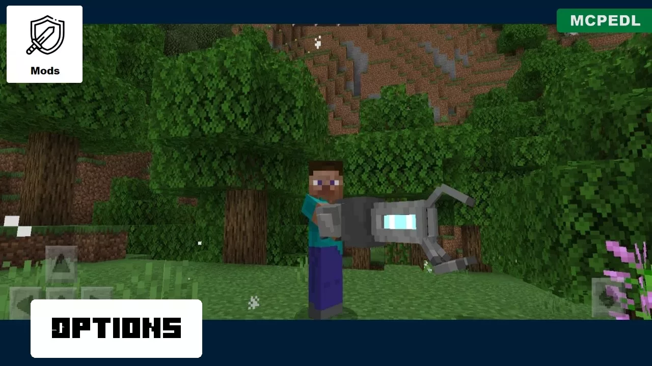 Options from Gravity Gun Mod for Minecraft PE