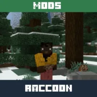 Raccoon Mod for Minecraft PE