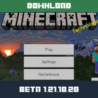 Minecraft 1.21.10.20