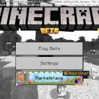 Minecraft 1.21.10.22