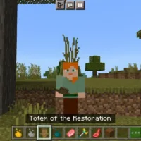 Morph Mod for Minecraft PE