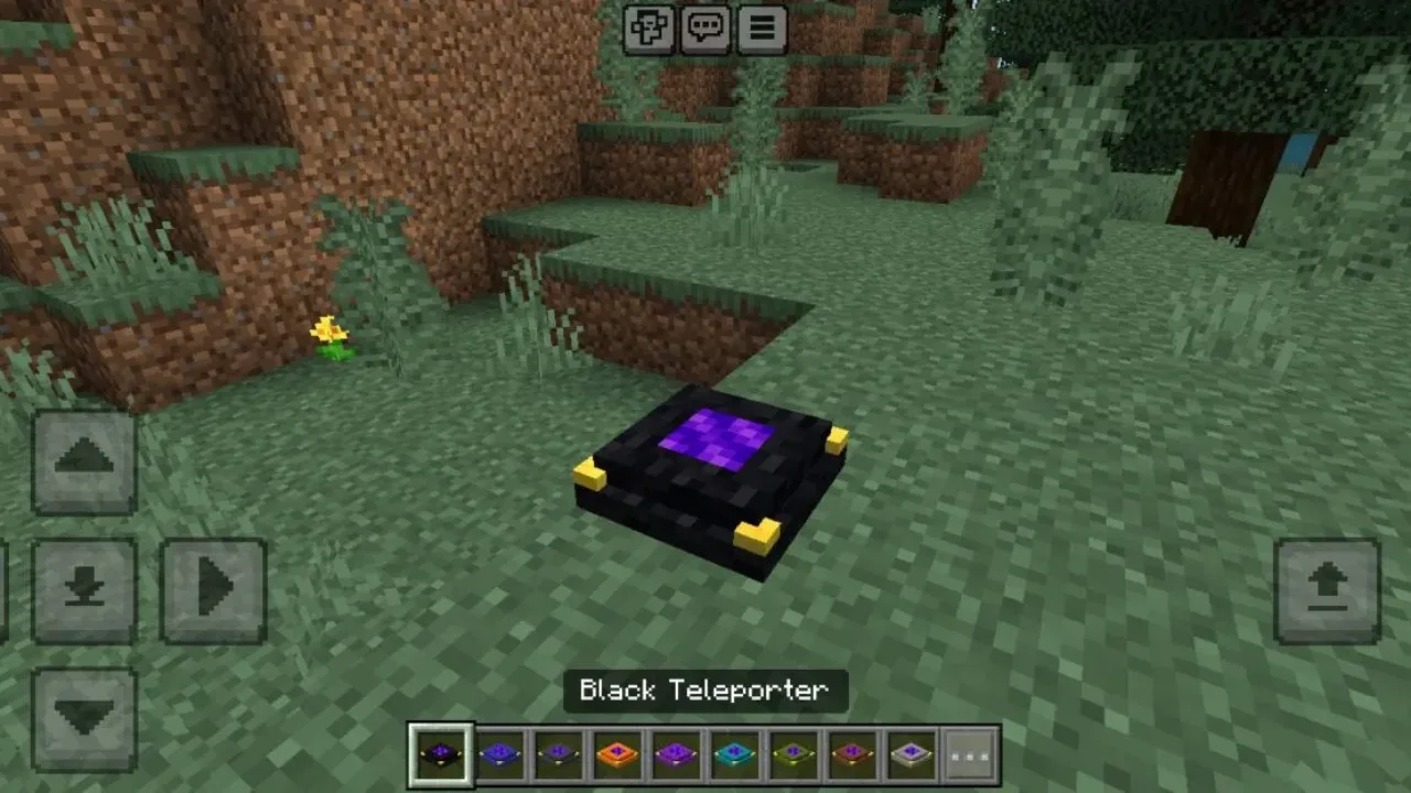 Black from Teleporter Mod for Minecraft PE