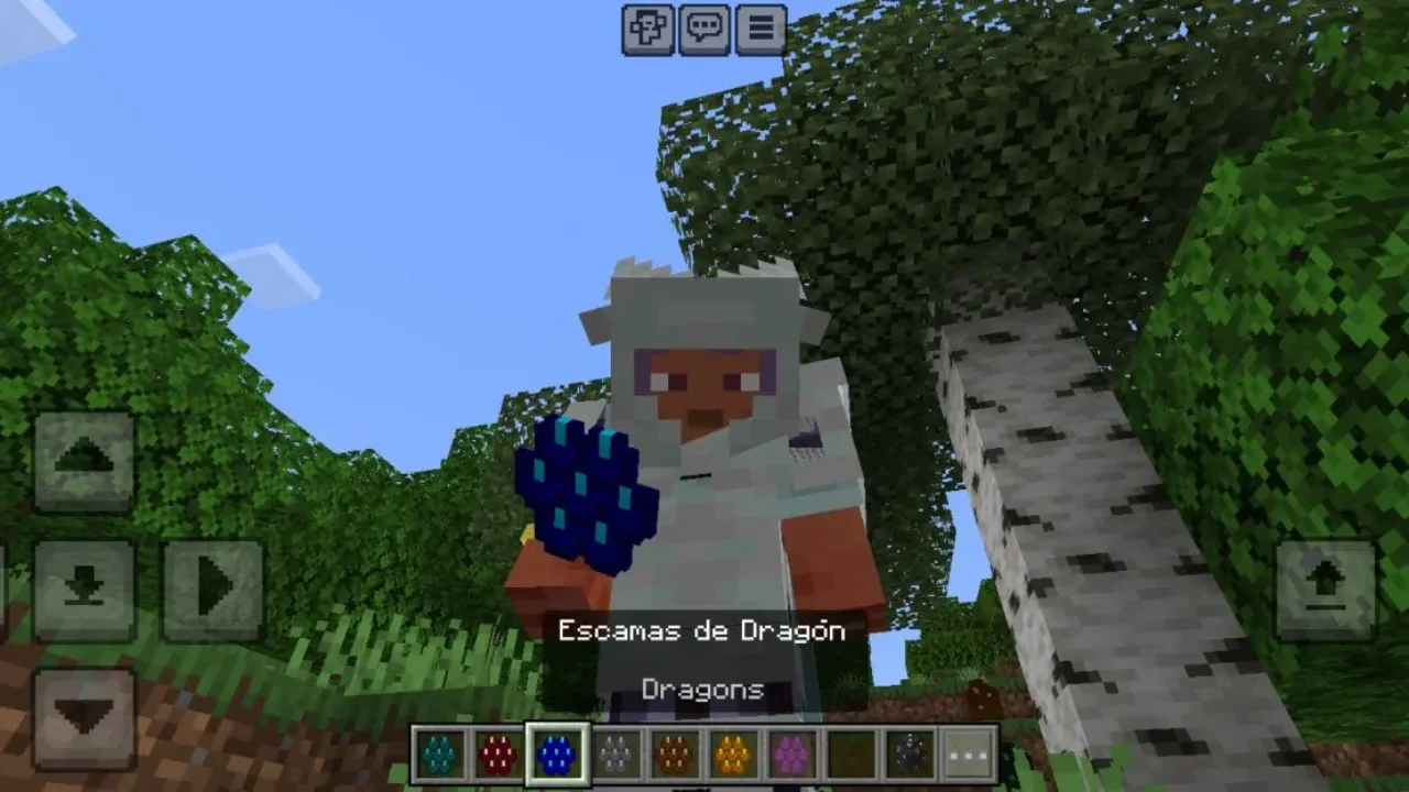 Item from Old Dragons Mod for Minecraft PE