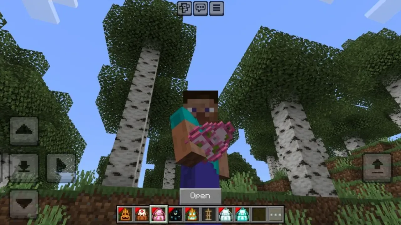 Pink from Multi Backpack Mod for Minecraft PE