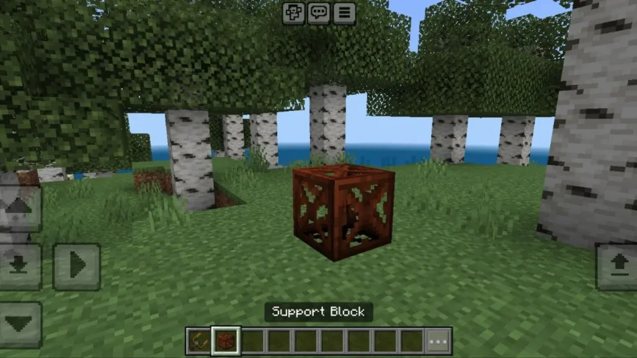 Support from Express Transport Mod for Minecraft PE