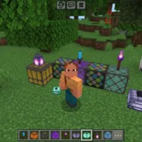 Hibiscus Extras Mod for Minecraft PE