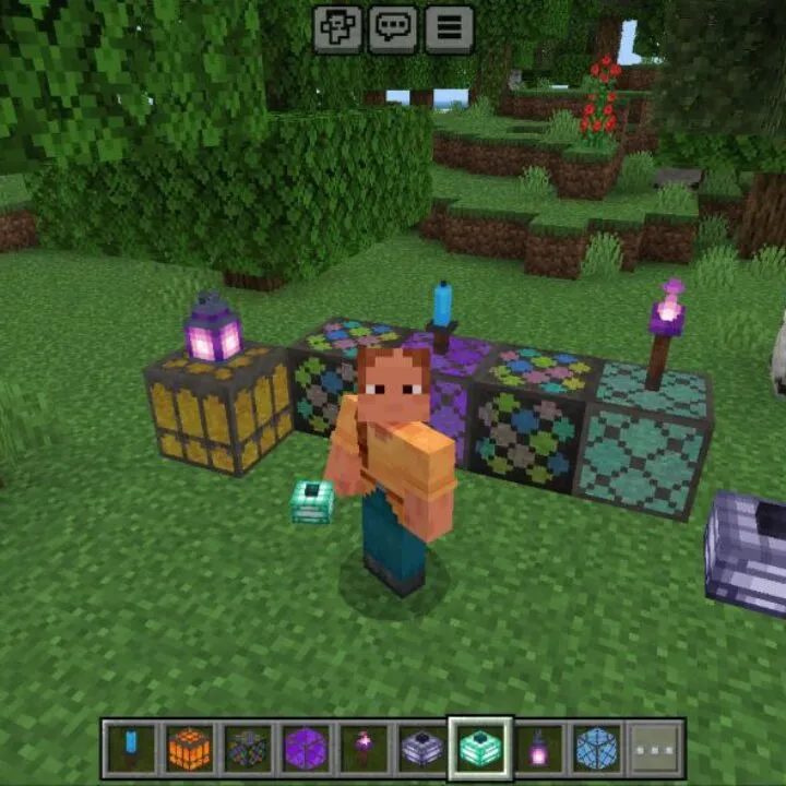 Hibiscus Extras Mod for Minecraft PE